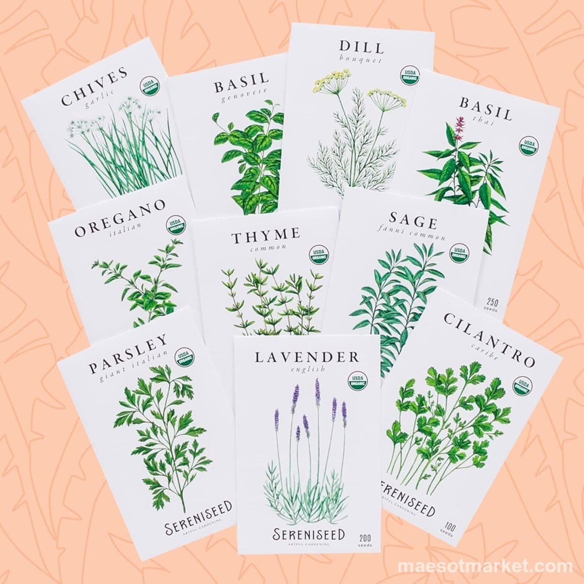 Plant Seed
